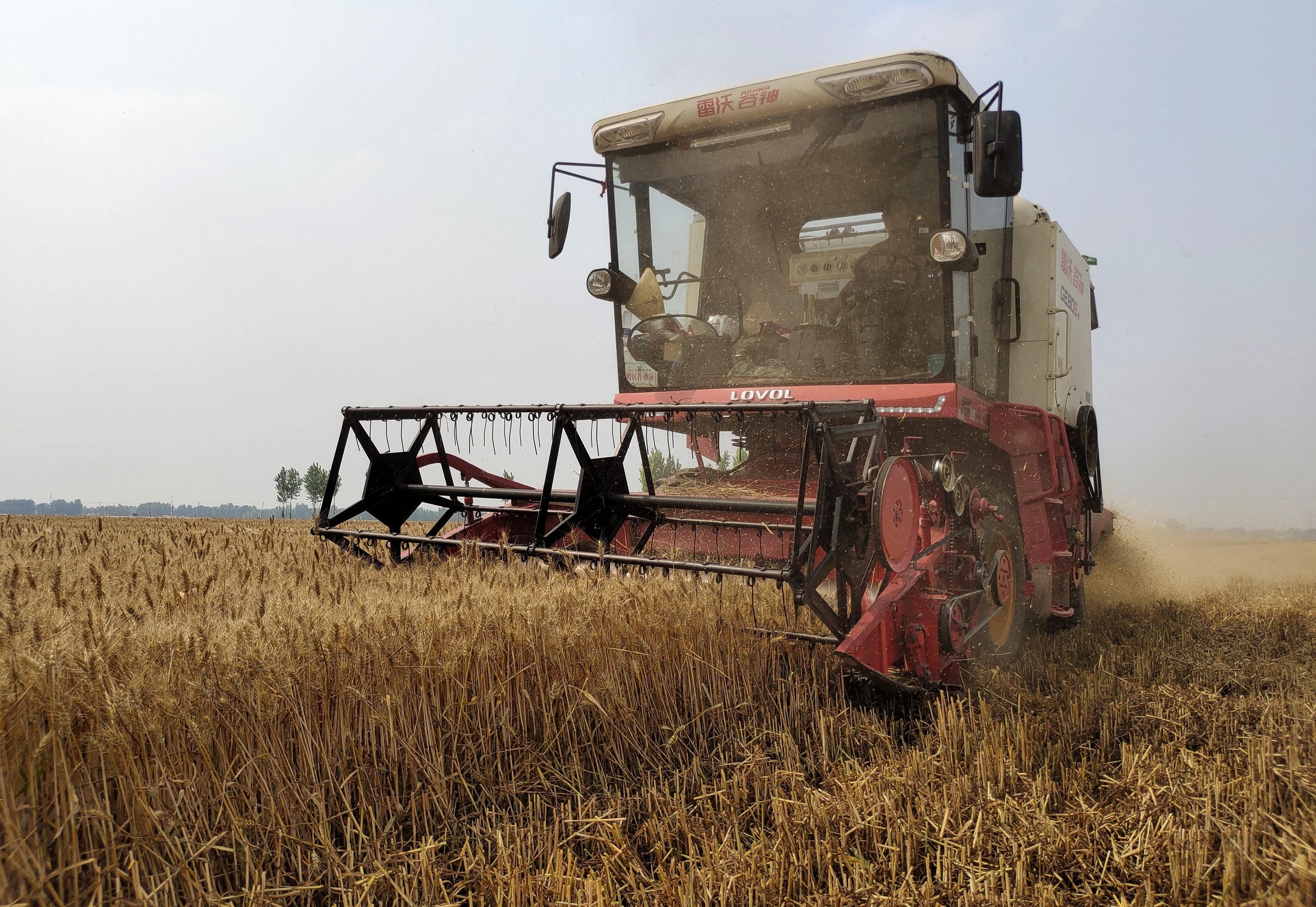 跨区作业农机在田间作业。李月英 摄